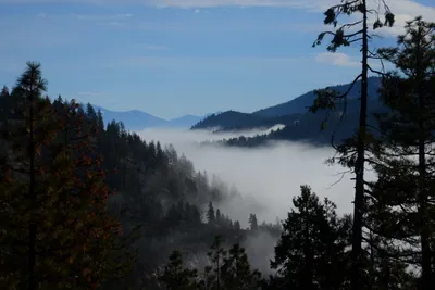 DSC_3156 (Large).JPG